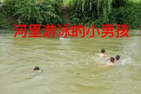河里游泳的小男孩视频封面