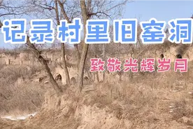记录村里的旧窑洞，致敬父辈激情燃烧的光辉岁月视频封面