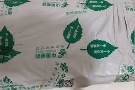 九上课本开箱视频封面
