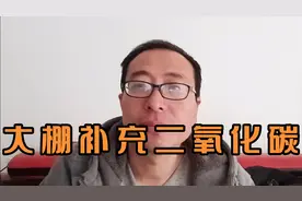跟旭哥探讨农作物补充二氧化碳方法视频封面