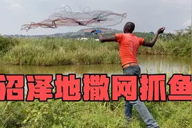 非洲沼泽地撒网捕鱼，鱼资源丰富收获满满。还撒到一条不知名的鱼视频封面