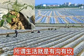 所谓生活就是有沟有坎。