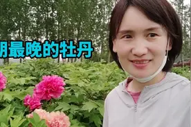 花期最晚的牡丹品种来啦，黄色系牡丹开花最香！你喜欢哪个品种视频封面