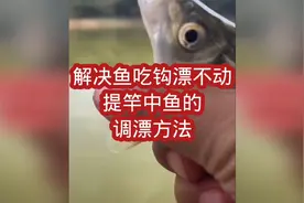 解决鱼吃钩漂不动，提竿中鱼的调漂方法视频封面