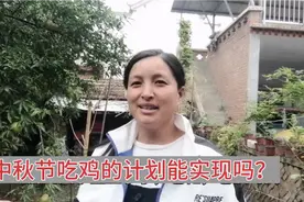 农村媳妇养了100天的小鸡，准备过中秋吃，结局出乎意料。视频封面