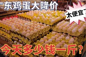 广东鸡蛋价格暴跌，今天多少钱一斤？看完大吃一惊，赶紧囤货
