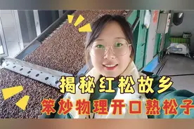 林区伊春红松子如何开口？物理开口是啥？6道工序，纯柴火笨炒！