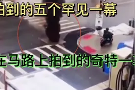 拍到五个罕见一幕！你们还见过那些奇特现象？感谢官方！视频封面