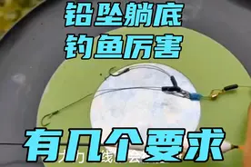 原来野钓铅坠躺底钓鱼比悬坠厉害，是有玄机的，做好几点，你也行视频封面
