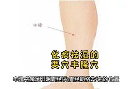 化痰祛湿的要穴丰隆穴视频封面