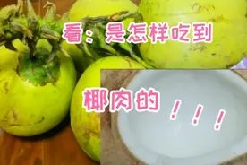 开椰子喝椰汁吃椰肉的全过程，你也可试试。视频封面