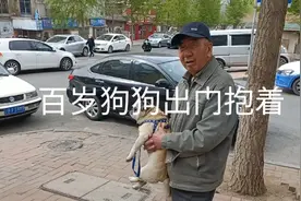 十九年的狗狗，相当于人类130岁。出门抱着，偶尔下地走走。