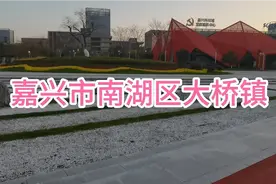 嘉兴市南湖区大桥镇小公园景色视频封面