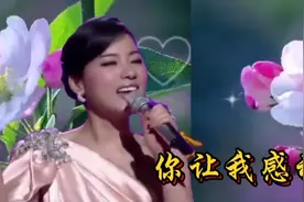 陈思思最经典歌曲《你让我感动》百灵鸟般的嗓音，唱的太好听了视频封面