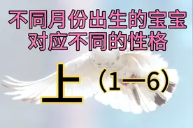 不同月份出生的宝宝，对应不同的性格（上）视频封面