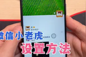 微信昵称后面能多个小老虎，教你这样设置，详细方法终于来了！视频封面