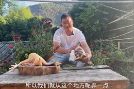 土鸡和火腿这样炖滋嫩鲜香，五星级大厨都想学的一道菜，太香了视频封面