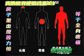 我的世界梗图合集#3:房子里出现苦力怕=全身疼痛