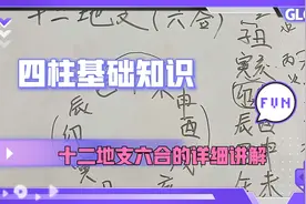 四柱基础知识传承，十二地支六合产生的状态详细讲解视频封面