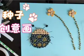 植物种子也能做成一幅画，快和孩子动手做一做吧，教孩子认识种子视频封面