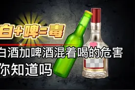 喝酒常识：酒量再大，也不要白加啤混着喝。视频封面
