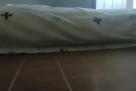 二阶魔方奇异版拆了，拼装教程