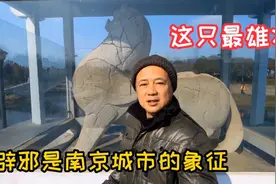 南京小众景点，萧宏石刻公园，这里有5座国保文物视频封面