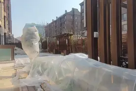 国家鼓励成年子女和父母就近居住，小院，有了和独生子共处的条件视频封面