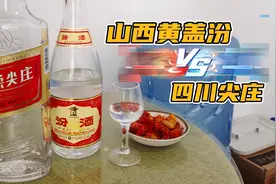 山西黄盖汾和四川尖庄怎么选？喝了两年汾酒后，我选择绵柔尖庄视频封面