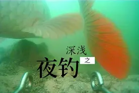 浅水窝、深水窝大比拼，夜钓是深水好还是浅水好，一目了然