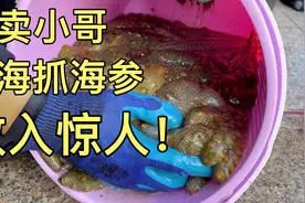 山东威海外卖小哥，身怀绝技、第二职业下海捕捞海参、收入惊人！视频封面
