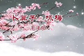 古诗词朗诵《卜算子·咏梅》（毛泽东）（四年级语文下册）视频封面