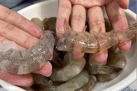 才知道，给虾去壳这么简单，只需简单一步，2分钟剥一大盘视频封面