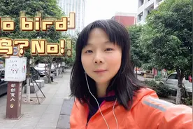 do bird，与鸟无关。视频封面