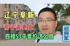 辽宁阜新4楼53平地热房子真便宜，高铁2小时到北京，大叔带你看房视频封面