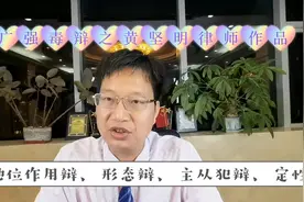 涉毒重案二审辩护实录：二审阶段重金聘请律师介入有必要，有用吗视频封面