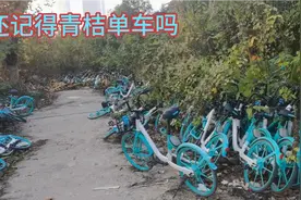 还记得青桔单车吗？视频封面