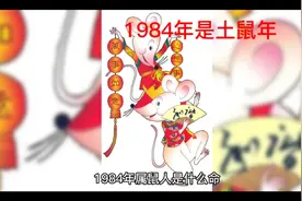 十二生肖守护神之1984土鼠视频封面