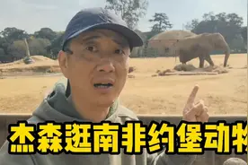 杰森逛南非约堡动物园，环境非常好，一起看看平时猛兽都在干啥？视频封面