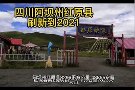 四川阿坝州红原县，乡镇社会经济基本情况简介，刷新到2021视频封面