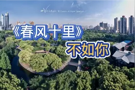 十里春风也吹不走的遗憾＃适合春天听的网抑云视频封面