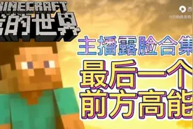 我的世界主播露脸大合集，你们还记得他(她)们吗？视频封面