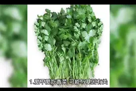 为什么有的人不喜欢吃香菜？而爱吃香菜的人流连忘返？视频封面