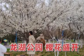 邯郸龙湖公园，里面的樱花已经盛开，看看美不美？视频封面