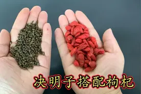 决明子搭配枸杞！视频封面