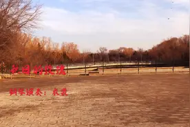 秋天的玫瑰 如雪般落寂 琴声幽幽地从心里滑过 淡淡优雅 淡淡忧伤视频封面