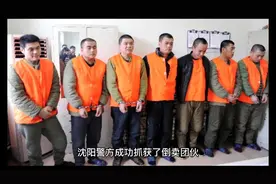 中国从印度进口退烧药囤药者慌了吗？视频封面