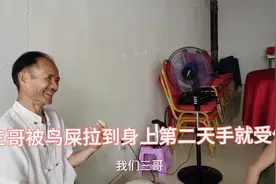 鸟屎拉到身上后第二天三哥的手就受伤，红姐建议的红鸡蛋应该安排视频封面