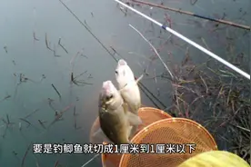 野钓要想钓的多，这些自制饵料配方要学会。视频封面