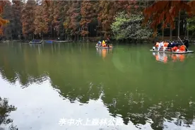 水上森林公园视频封面
